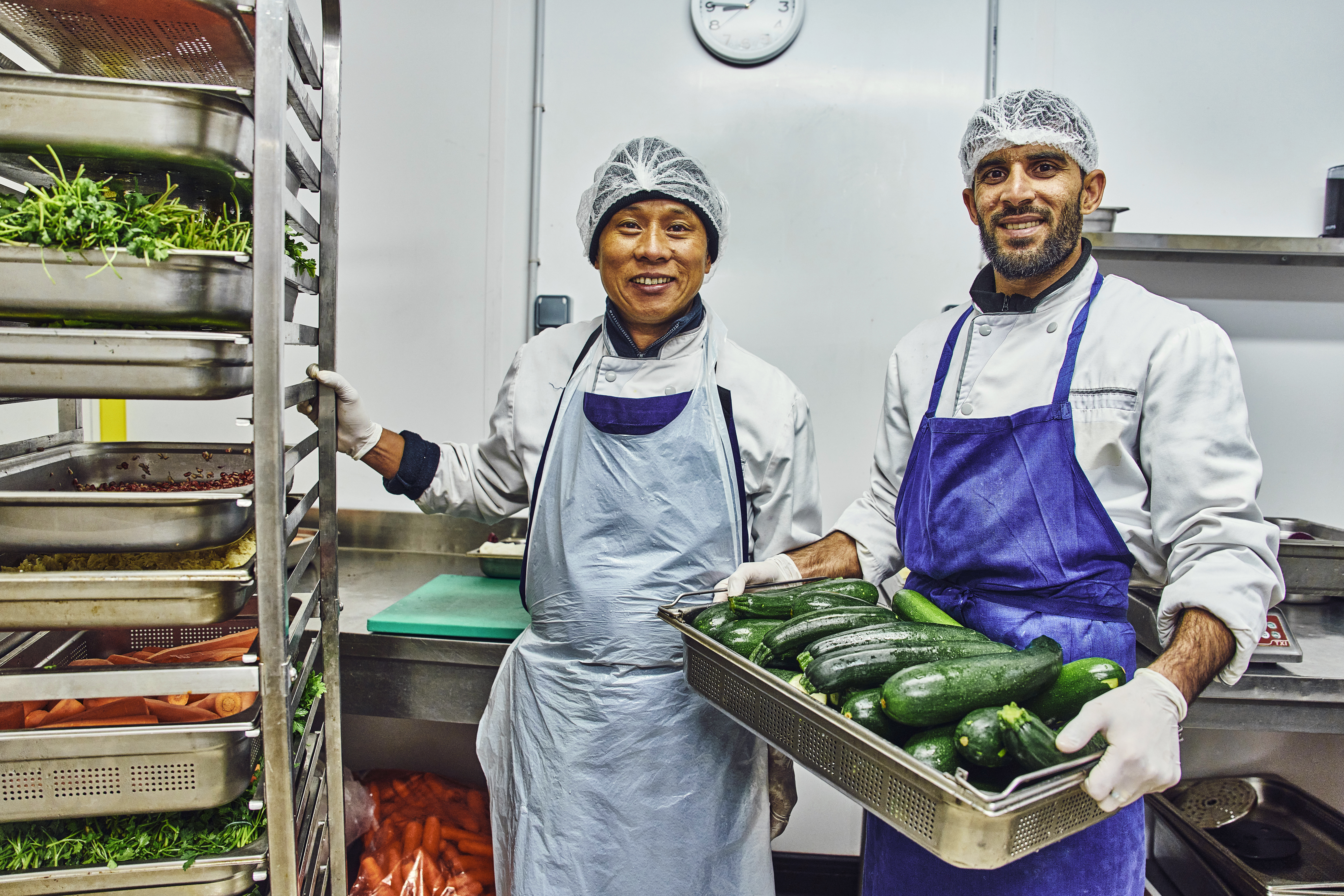les chefs réfugiés en CDI