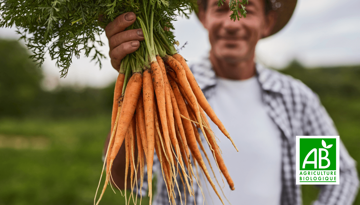 Design sans titre (21) (1)