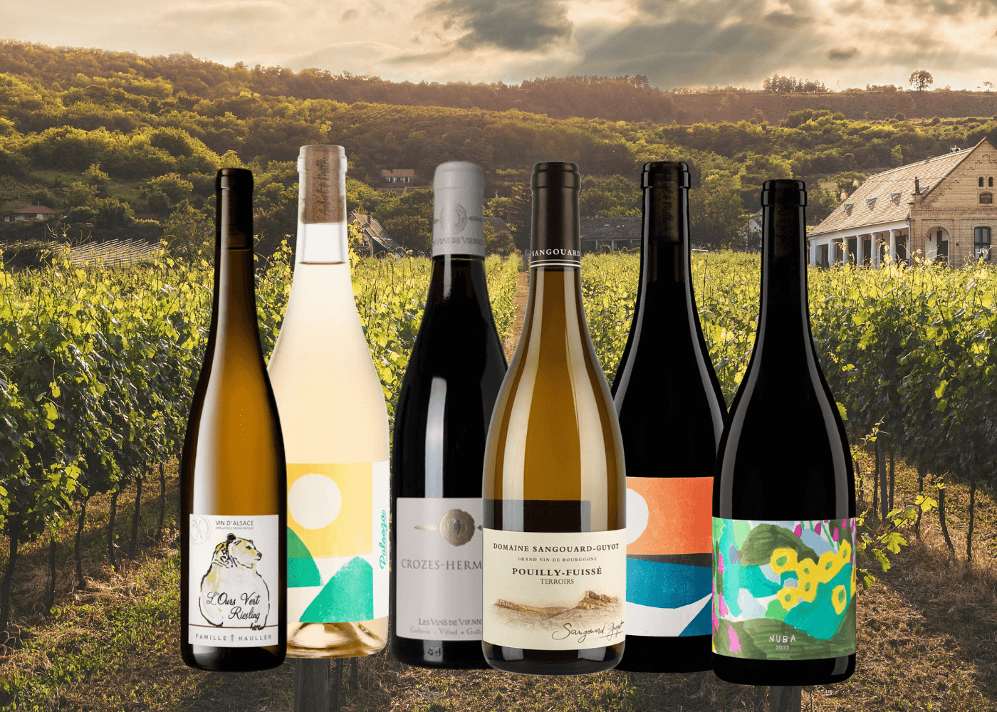 Vins français en circuit court, justes et responsables