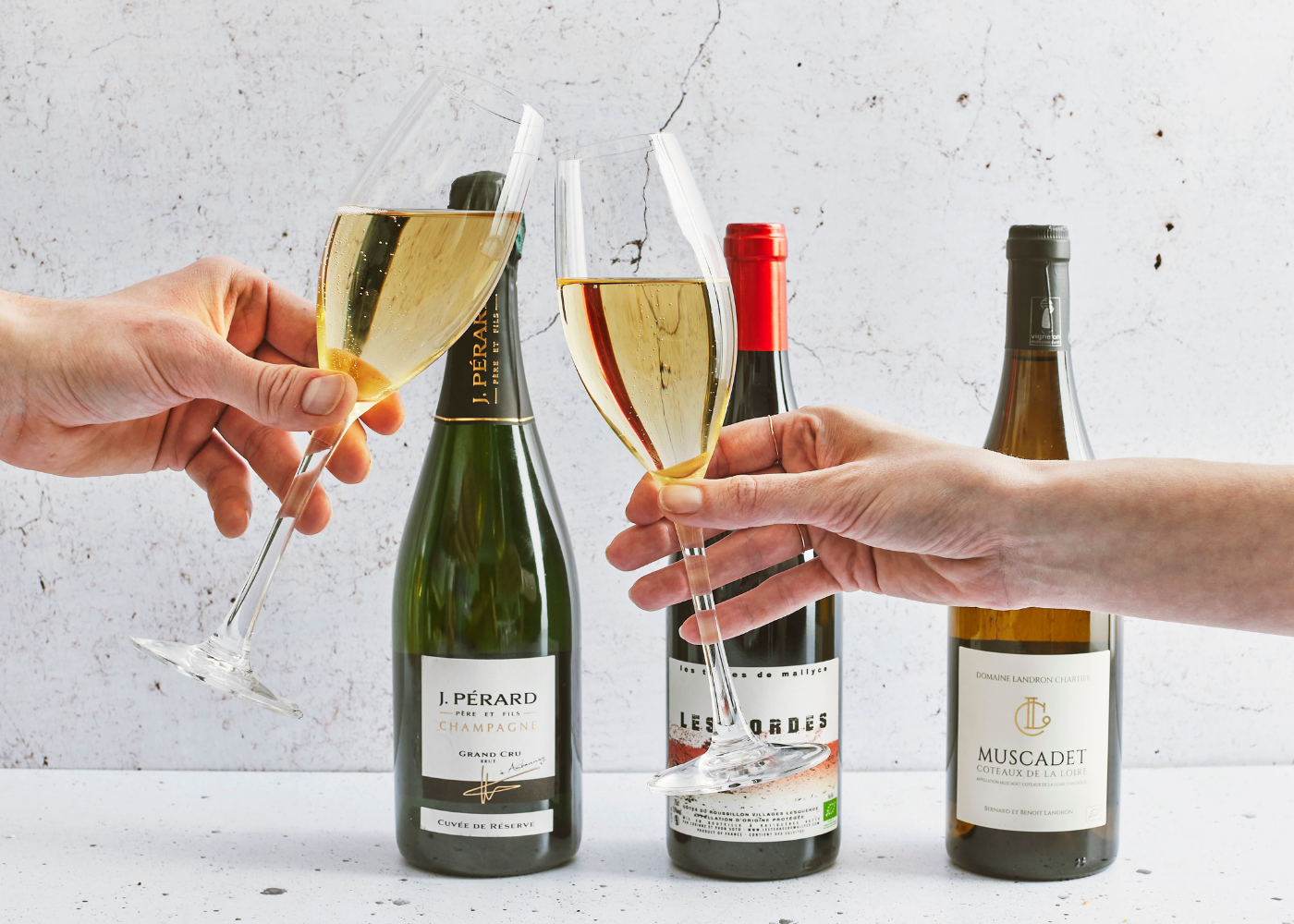 Organisez vos vœux d’entreprise avec Les Cuistots Migrateurs